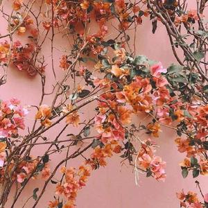 日本地铁顶臀视频无码
